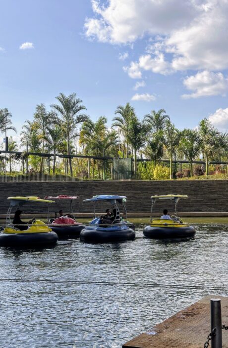 Bumper-boats-460x700-1